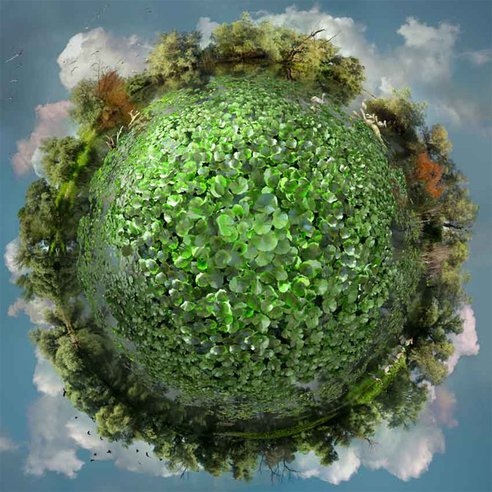 Finding Light in the Eye of the Storm: Ecotherapy, Climate Change, and A Path to Resiliency